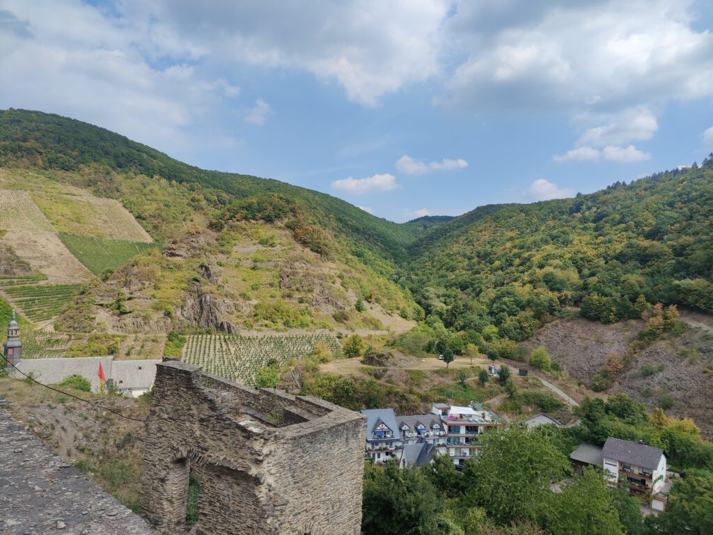 Weinberge an der Burg Metternich