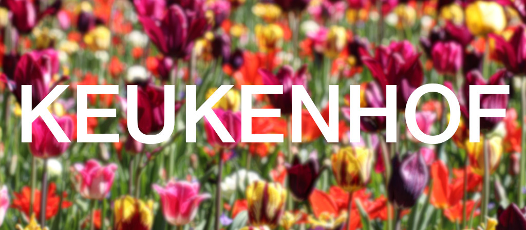 Keukenhof