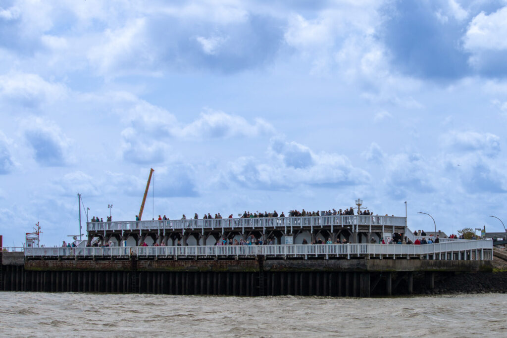 img 7887 2